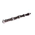 Comp Cams 10-214-5 AMC V8 Xtreme Energy Hydraulic Flat Tappet Camshaft XE256H