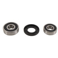 PIVOT WORKS WHEEL BEARING KIT (PWRWK-H26-021)