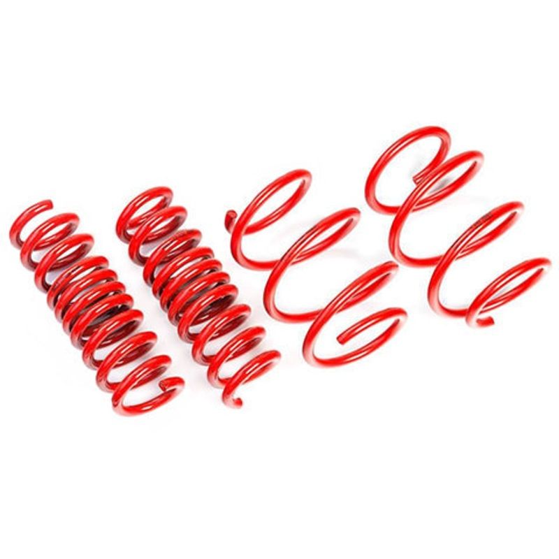AST Lowering Springs | 2017-2023 Tesla Model 3 AWD Performance Long Range (ASTLS-19-208)