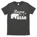 Vintage Papa Bear T-Shirt Hoodie, Sweatshirt | CoreVibeTees.com