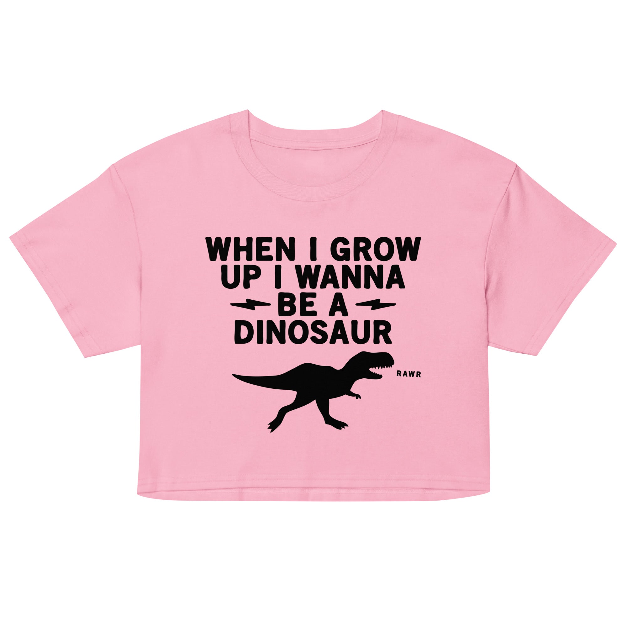 When I Grow Up I Wanna Be A Dinosaur Women's Crop Tee