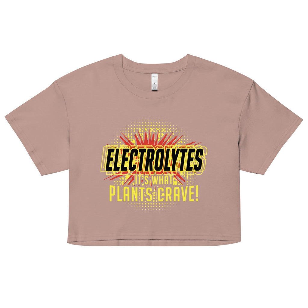Electrolytes, It's What Plants Crave! Women's Crop Tee Hoodie, Sweatshirt | CoreVibeTees.com (Image 3)
