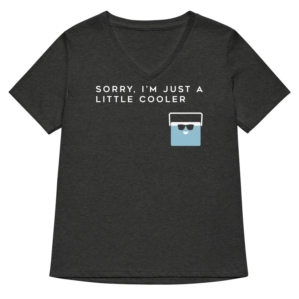 Sorry, I'm Just A Little Cooler Women's V-Neck Tee Hoodie, Sweatshirt | CoreVibeTees.com (Image 2)