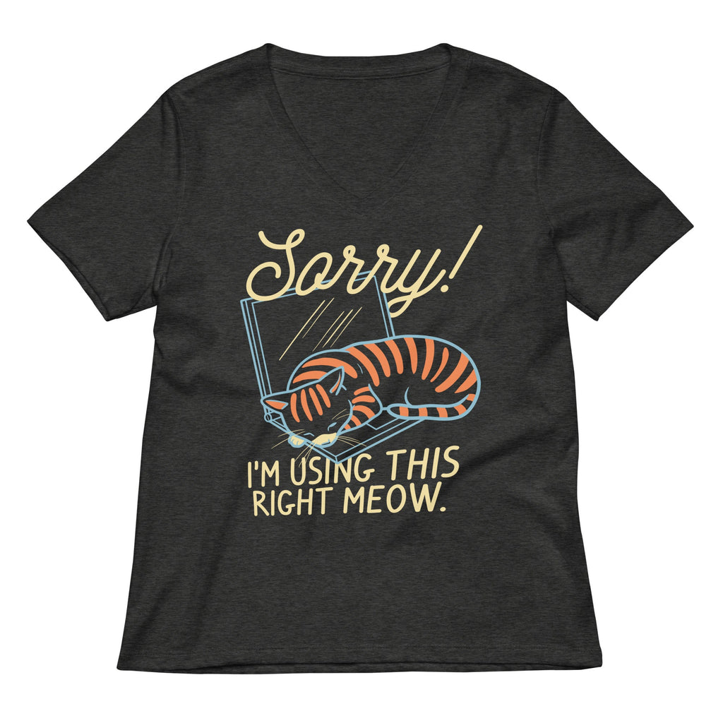 Sorry! I'm Using This Right Meow Women's V-Neck Tee Hoodie, Sweatshirt | CoreVibeTees.com (Image 3)