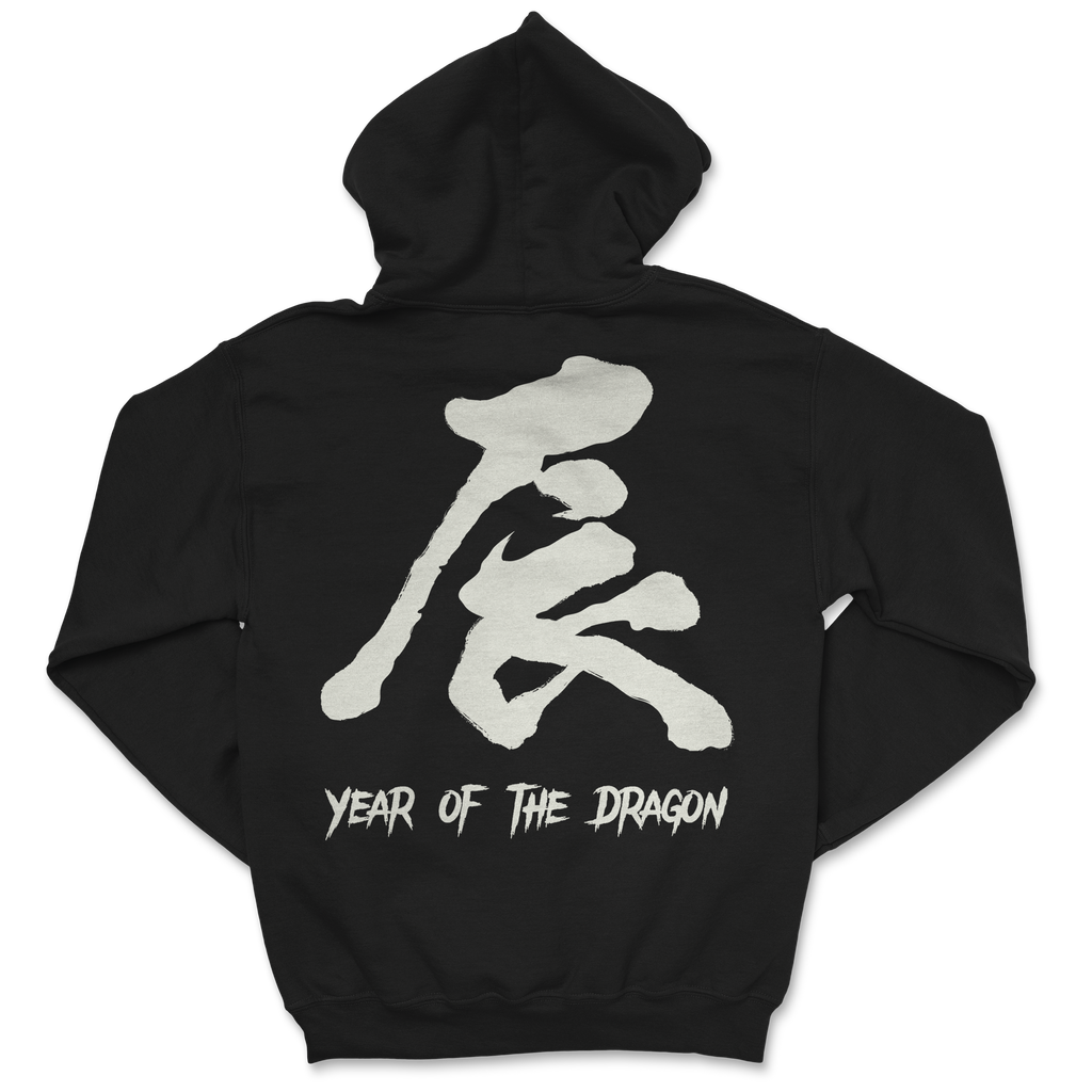 College Burnout - Year of the Dragon Hoodie T-Shirts, Sweatshirt | CoreVibeTees.com (Image 3)
