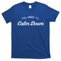 You Need To Calm Down Gift T-Shirt Hoodie, Sweatshirt | CoreVibeTees.com