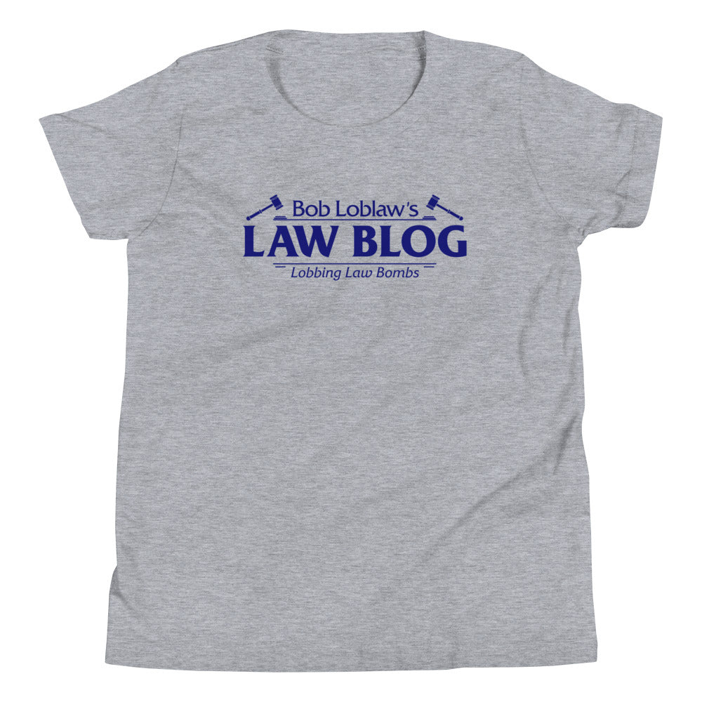 Bob Loblaw's Law Blog Kid's Youth Tee Hoodie, Sweatshirt | CoreVibeTees.com (Image 2)