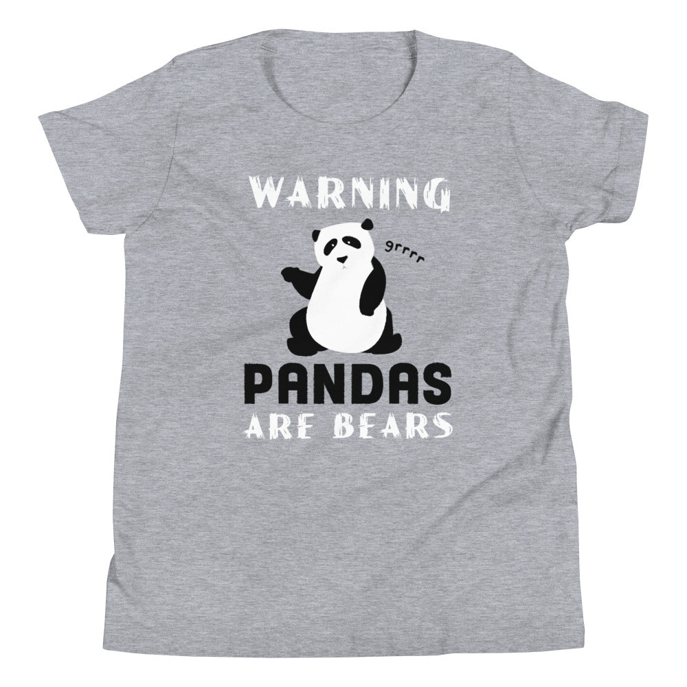 Warning, Pandas Are Bears Kid's Youth Tee Hoodie, Sweatshirt | CoreVibeTees.com (Image 5)