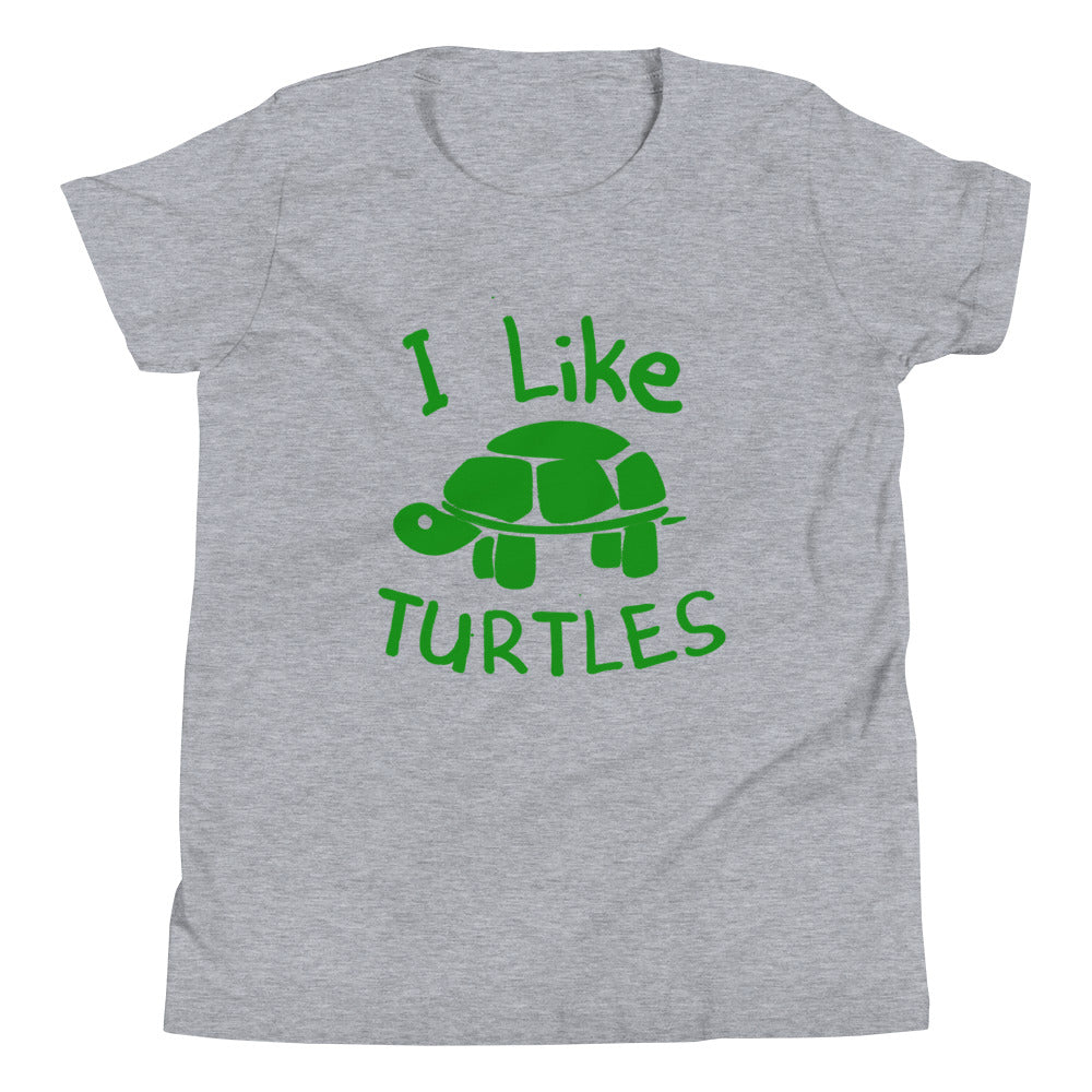 I Like Turtles Kid's Youth Tee Hoodie, Sweatshirt | CoreVibeTees.com (Image 1)