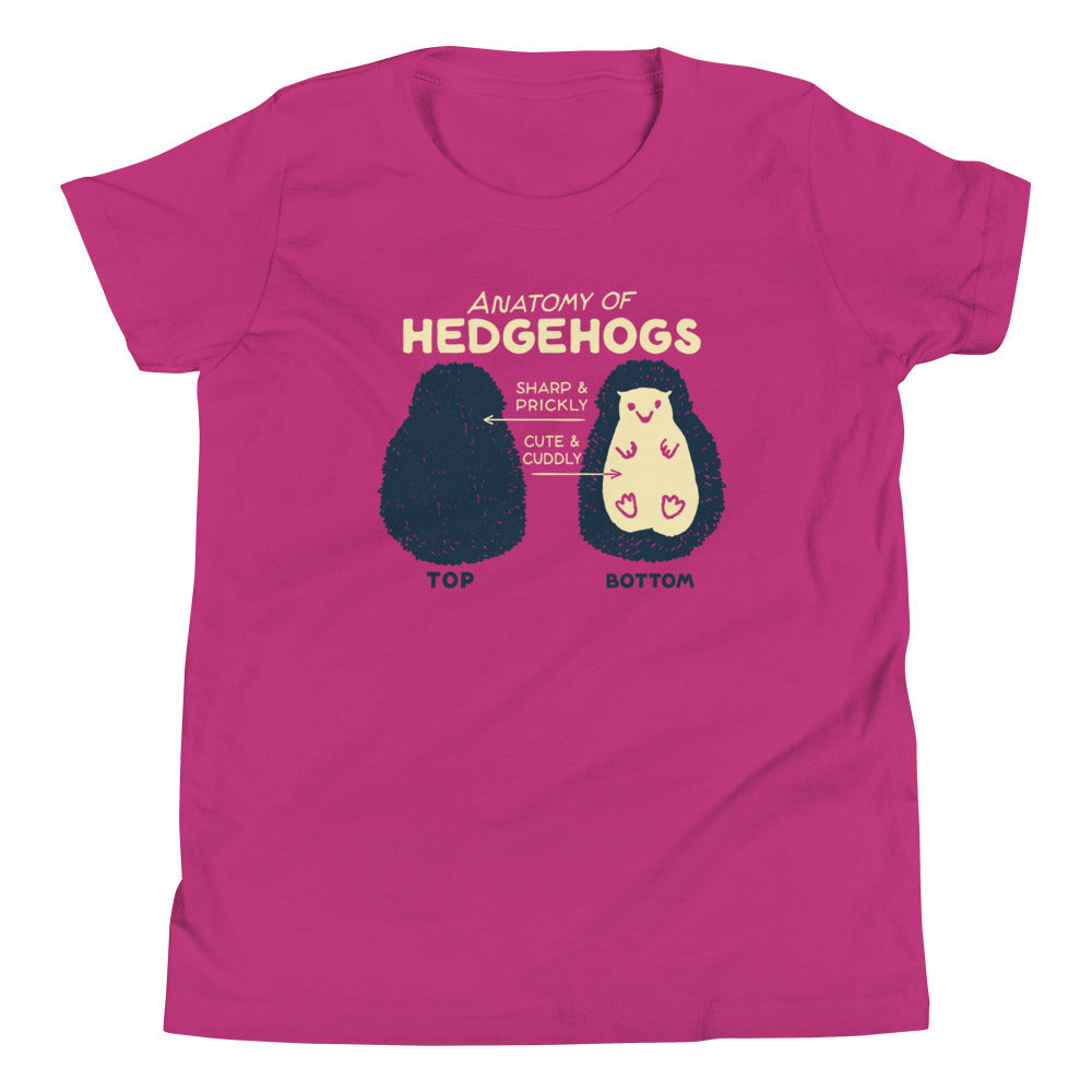 Anatomy Of Hedgehogs Kid's Youth Tee Hoodie, Sweatshirt | CoreVibeTees.com (Image 2)