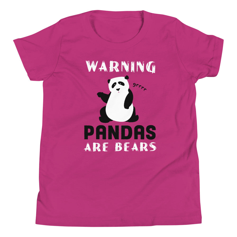 Warning, Pandas Are Bears Kid's Youth Tee Hoodie, Sweatshirt | CoreVibeTees.com (Image 3)