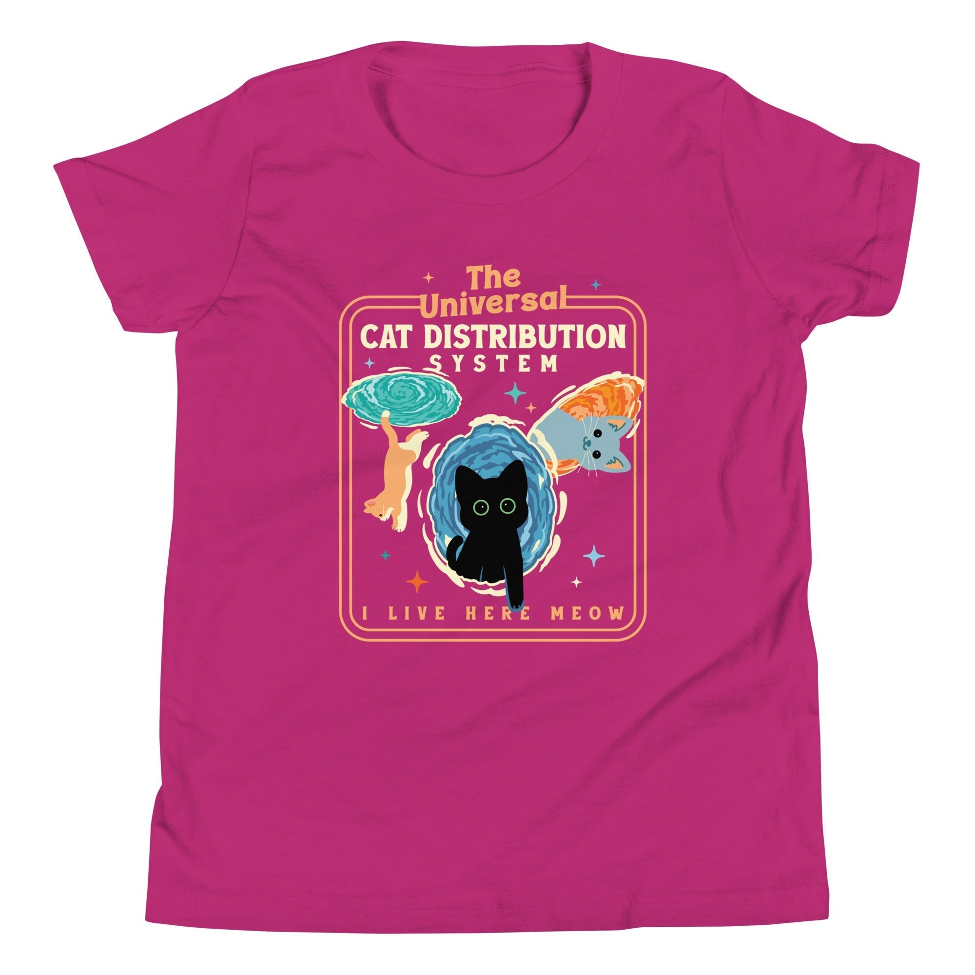 The Universal Cat Distribution System Kid's Youth Tee Hoodie, Sweatshirt | CoreVibeTees.com (Image 5)