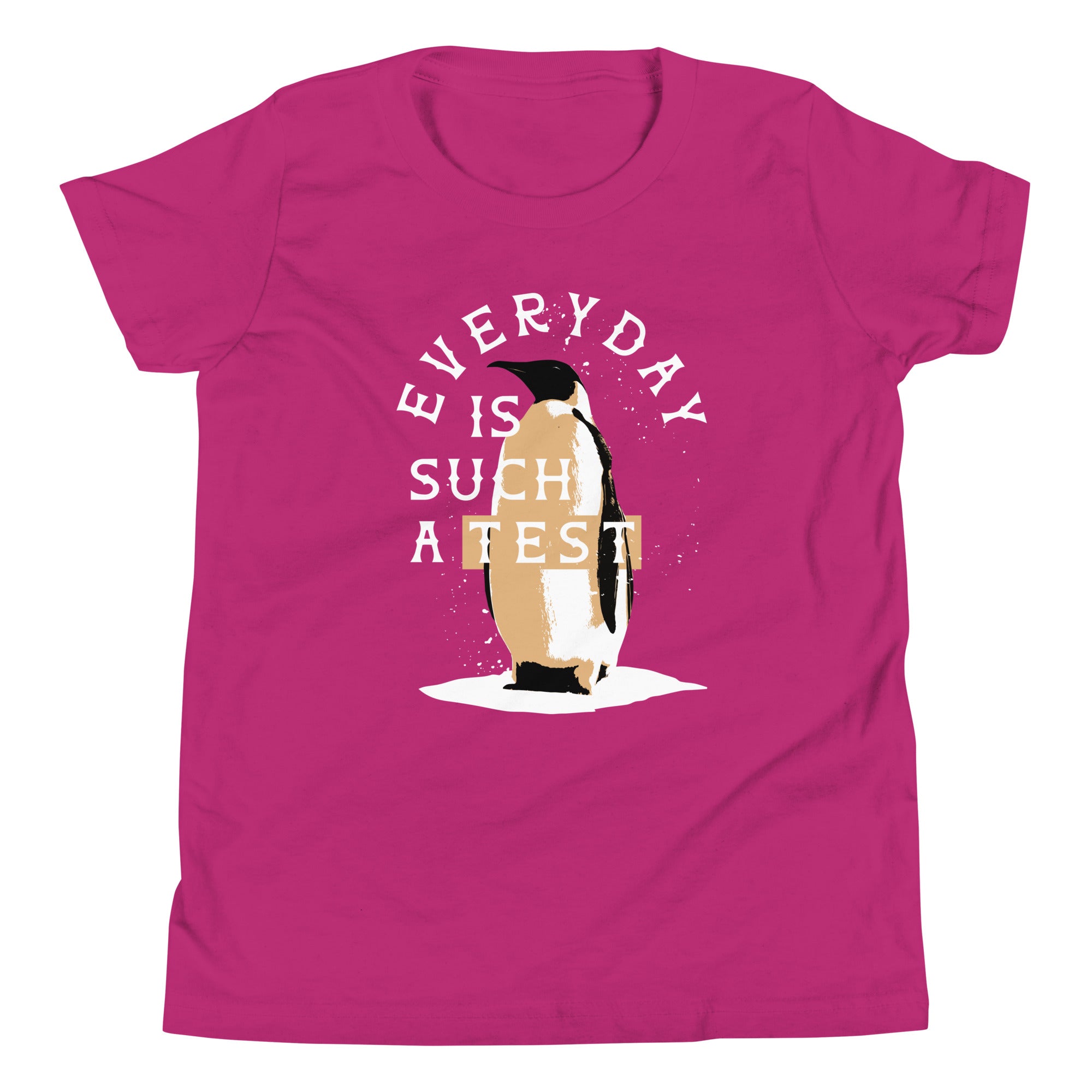 Everyday Is Such A Test Kid's Youth Tee Hoodie, Sweatshirt | CoreVibeTees.com (Image 4)