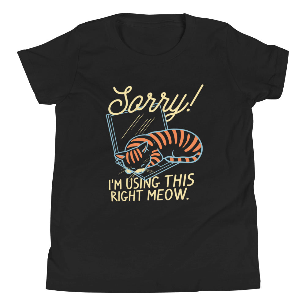 Sorry! I'm Using This Right Meow Kid's Youth Tee Hoodie, Sweatshirt | CoreVibeTees.com (Image 2)