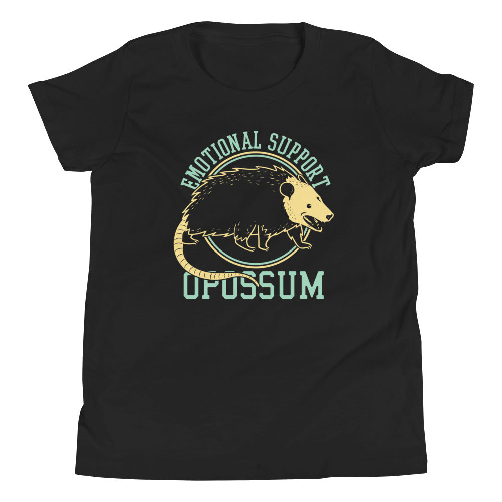Emotional Support Opossum Kid's Youth Tee Hoodie, Sweatshirt | CoreVibeTees.com (Image 1)