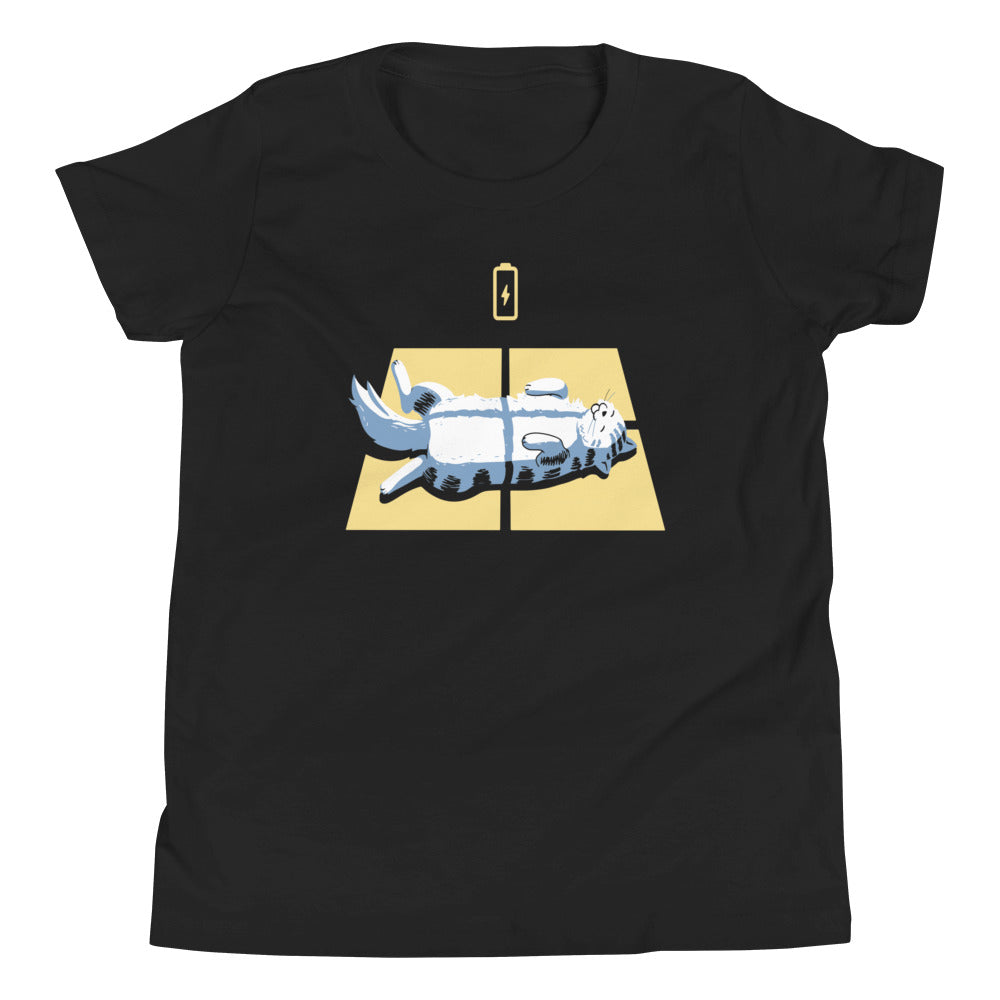 Solar Charging Kid's Youth Tee Hoodie, Sweatshirt | CoreVibeTees.com (Image 1)