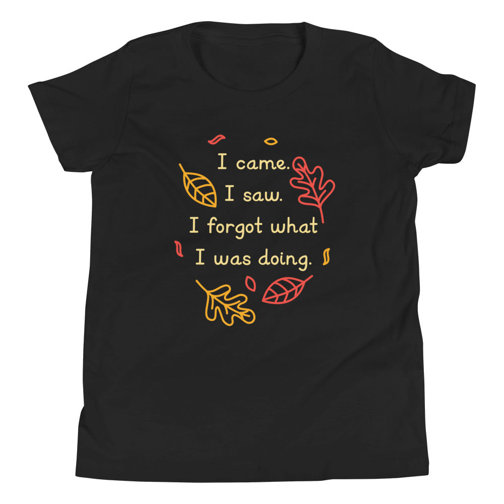 I Came. I Saw. I Forgot What I Was Doing. Kid's Youth Tee Hoodie, Sweatshirt | CoreVibeTees.com (Image 2)