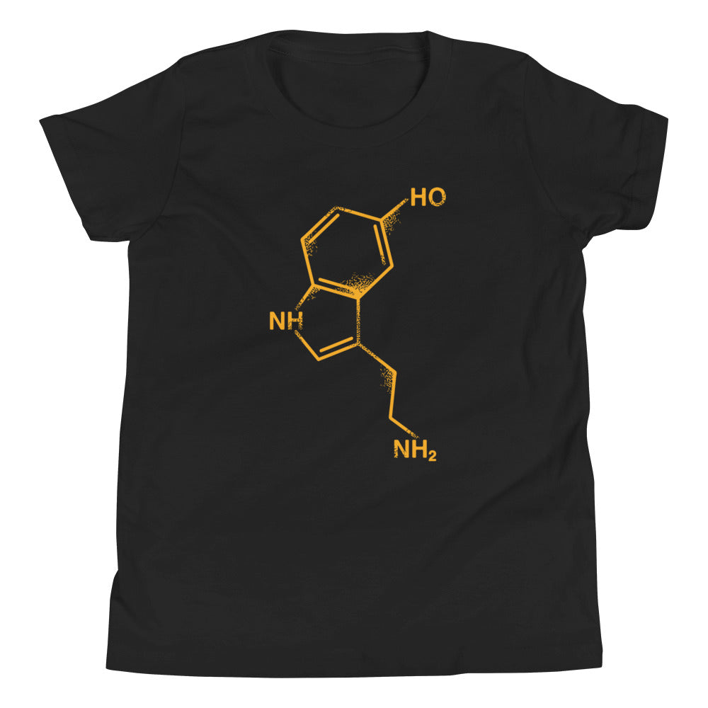 Serotonin Kid's Youth Tee Hoodie, Sweatshirt | CoreVibeTees.com (Image 2)