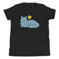 No Cat Kid's Youth Tee Hoodie, Sweatshirt | CoreVibeTees.com (Image 1)