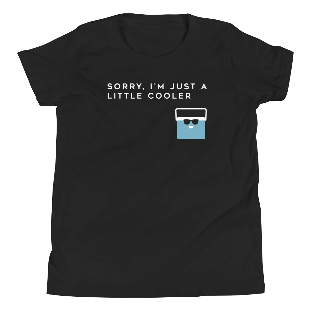 Sorry, I'm Just A Little Cooler Kid's Youth Tee Hoodie, Sweatshirt | CoreVibeTees.com (Image 1)