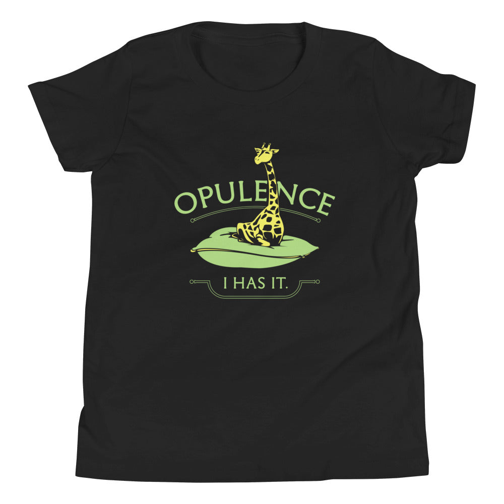 Opulence, I Has It. Kid's Youth Tee Hoodie, Sweatshirt | CoreVibeTees.com (Image 2)