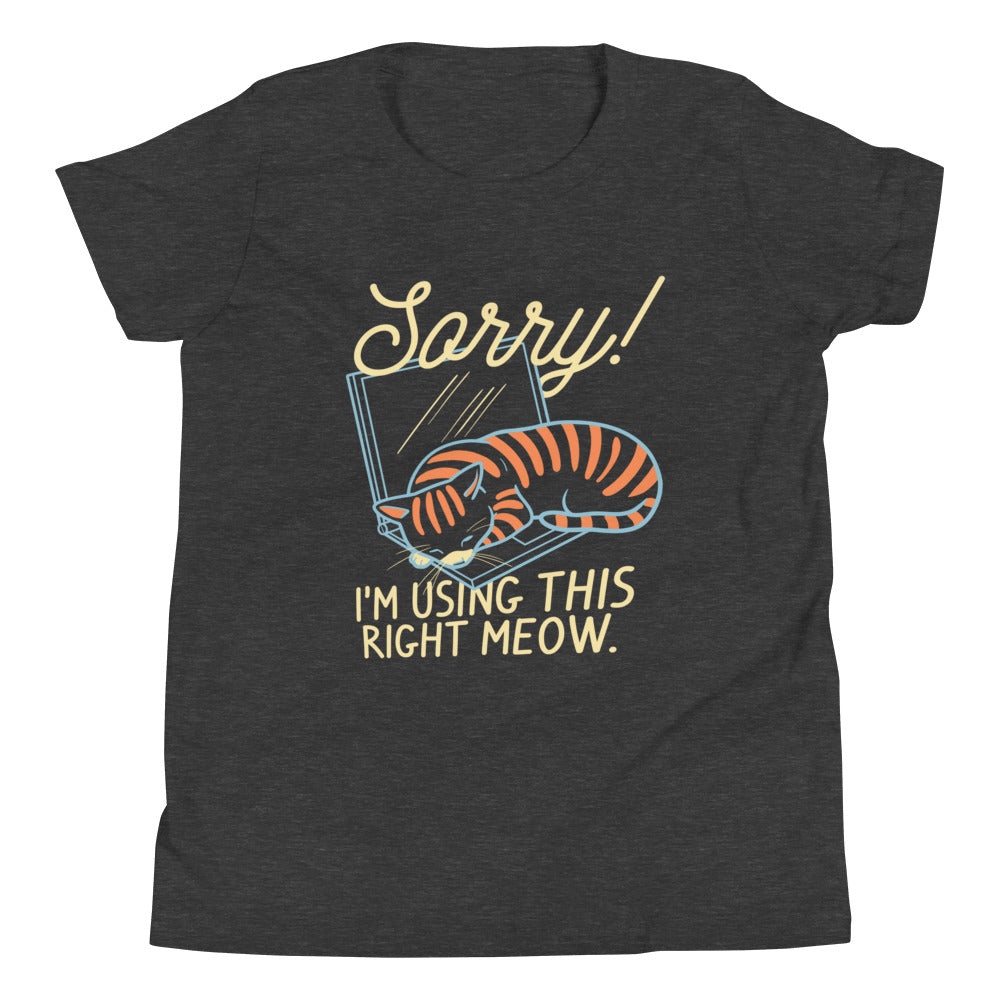 Sorry! I'm Using This Right Meow Kid's Youth Tee Hoodie, Sweatshirt | CoreVibeTees.com (Image 3)