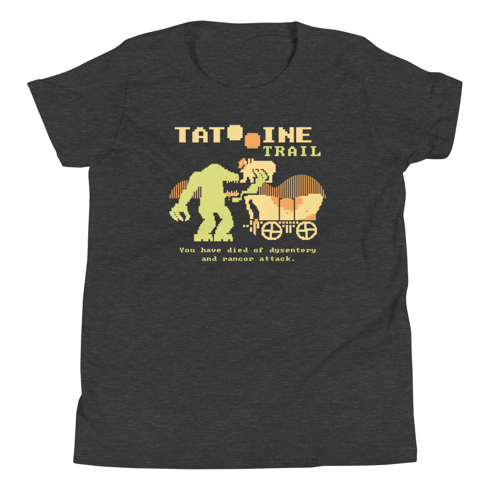 Tatooine Trail Kid's Youth Tee Hoodie, Sweatshirt | CoreVibeTees.com (Image 3)