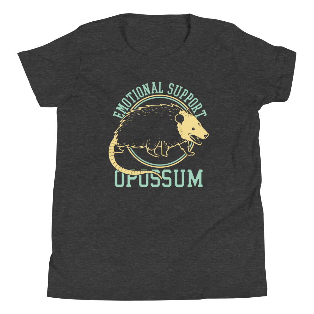 Emotional Support Opossum Kid's Youth Tee Hoodie, Sweatshirt | CoreVibeTees.com (Image 3)
