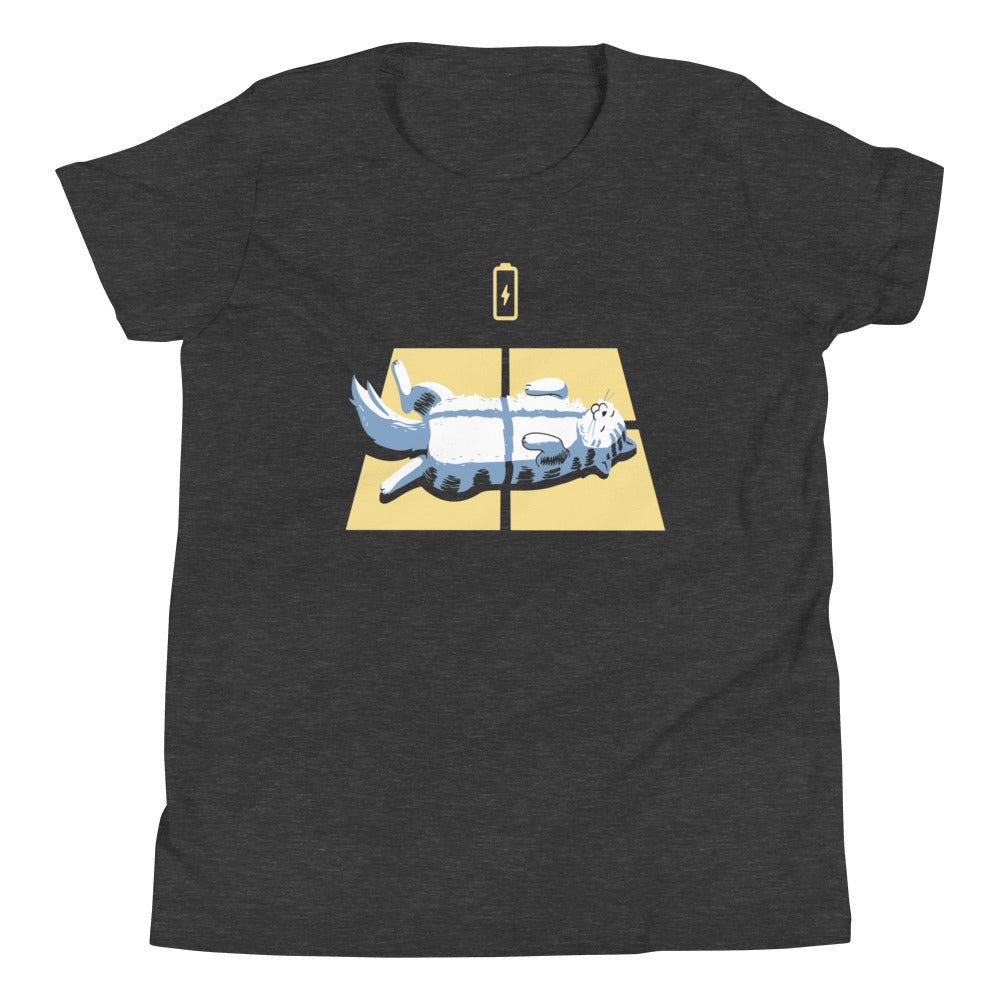 Solar Charging Kid's Youth Tee Hoodie, Sweatshirt | CoreVibeTees.com (Image 3)