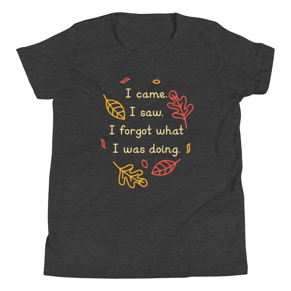 I Came. I Saw. I Forgot What I Was Doing. Kid's Youth Tee Hoodie, Sweatshirt | CoreVibeTees.com (Image 3)