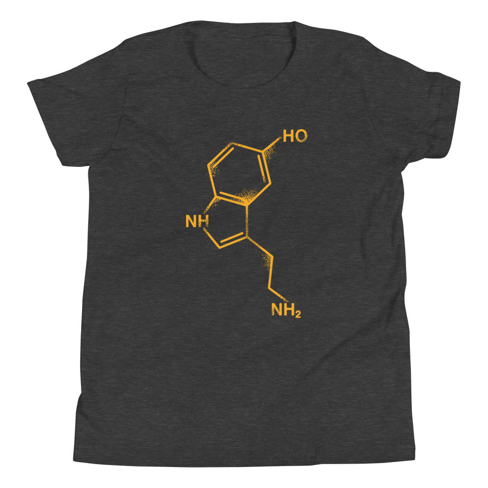 Serotonin Kid's Youth Tee Hoodie, Sweatshirt | CoreVibeTees.com (Image 3)