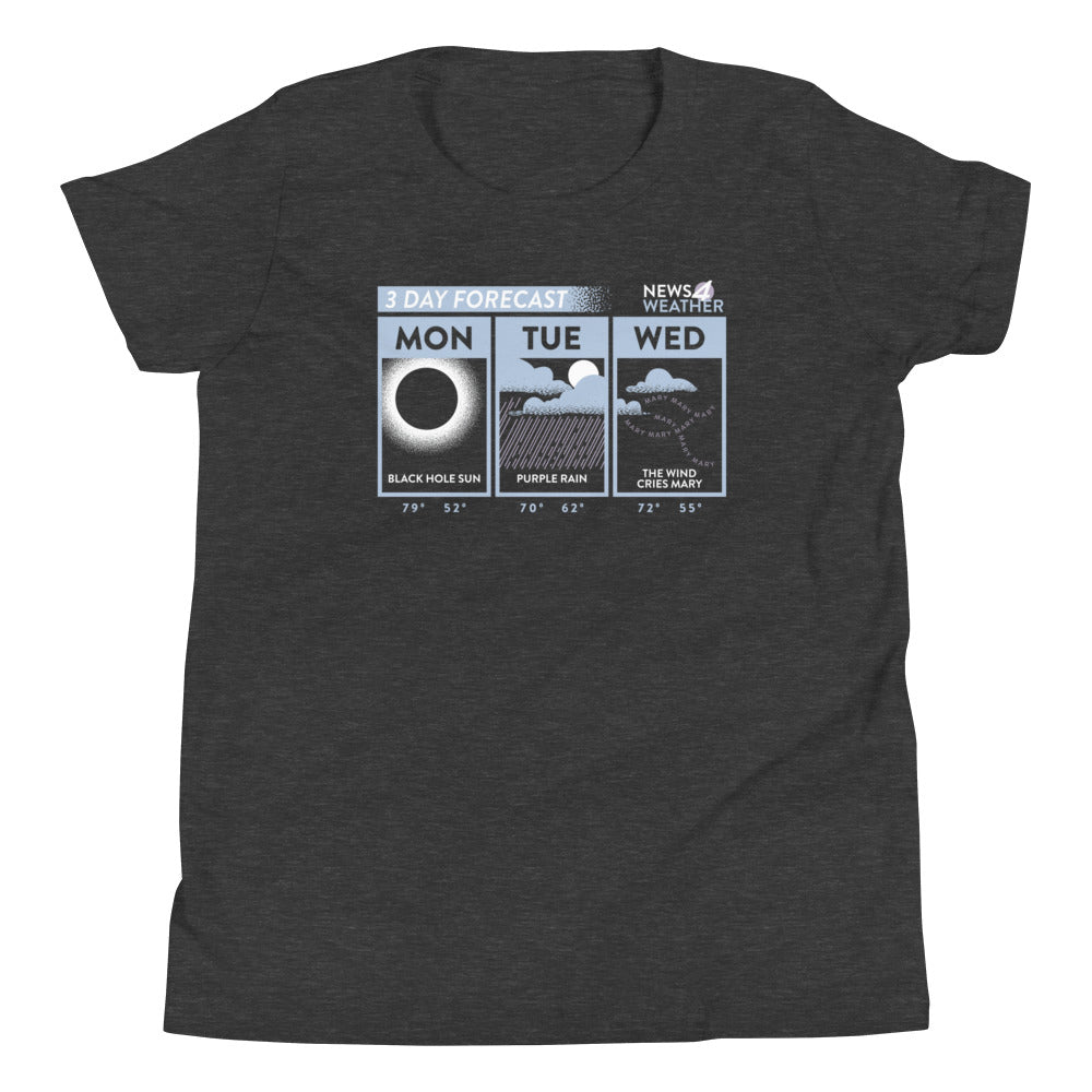 3 Day Forecast Kid's Youth Tee Hoodie, Sweatshirt | CoreVibeTees.com (Image 3)