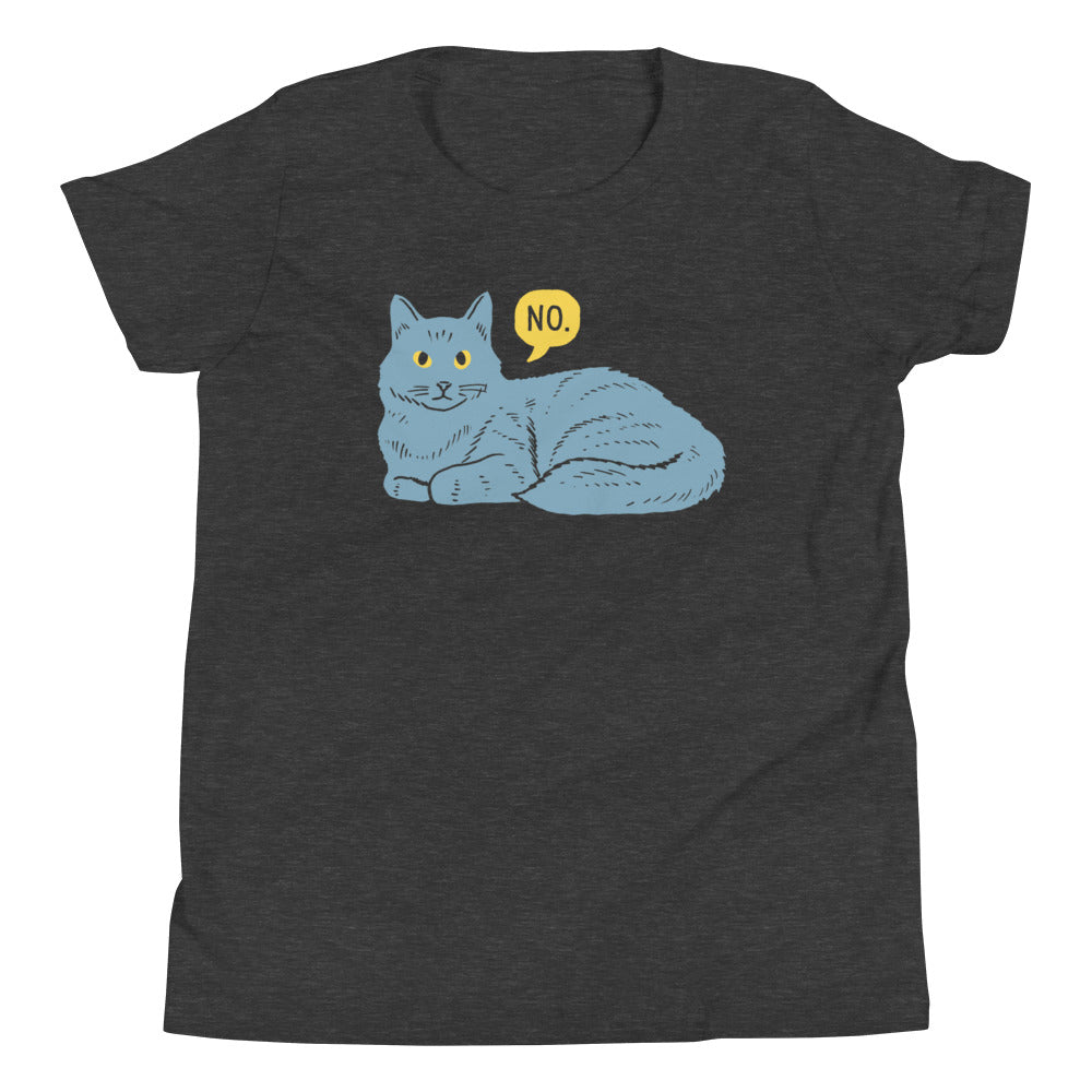 No Cat Kid's Youth Tee Hoodie, Sweatshirt | CoreVibeTees.com (Image 3)