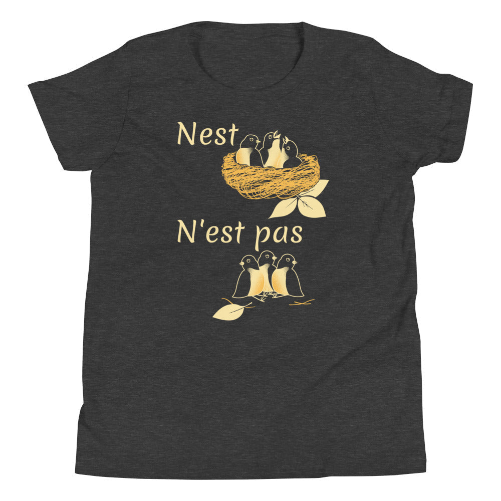 Nest N'est Pas Kid's Youth Tee Hoodie, Sweatshirt | CoreVibeTees.com (Image 4)