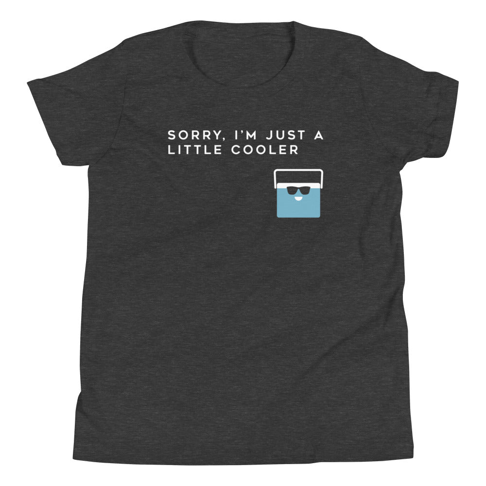 Sorry, I'm Just A Little Cooler Kid's Youth Tee Hoodie, Sweatshirt | CoreVibeTees.com (Image 3)
