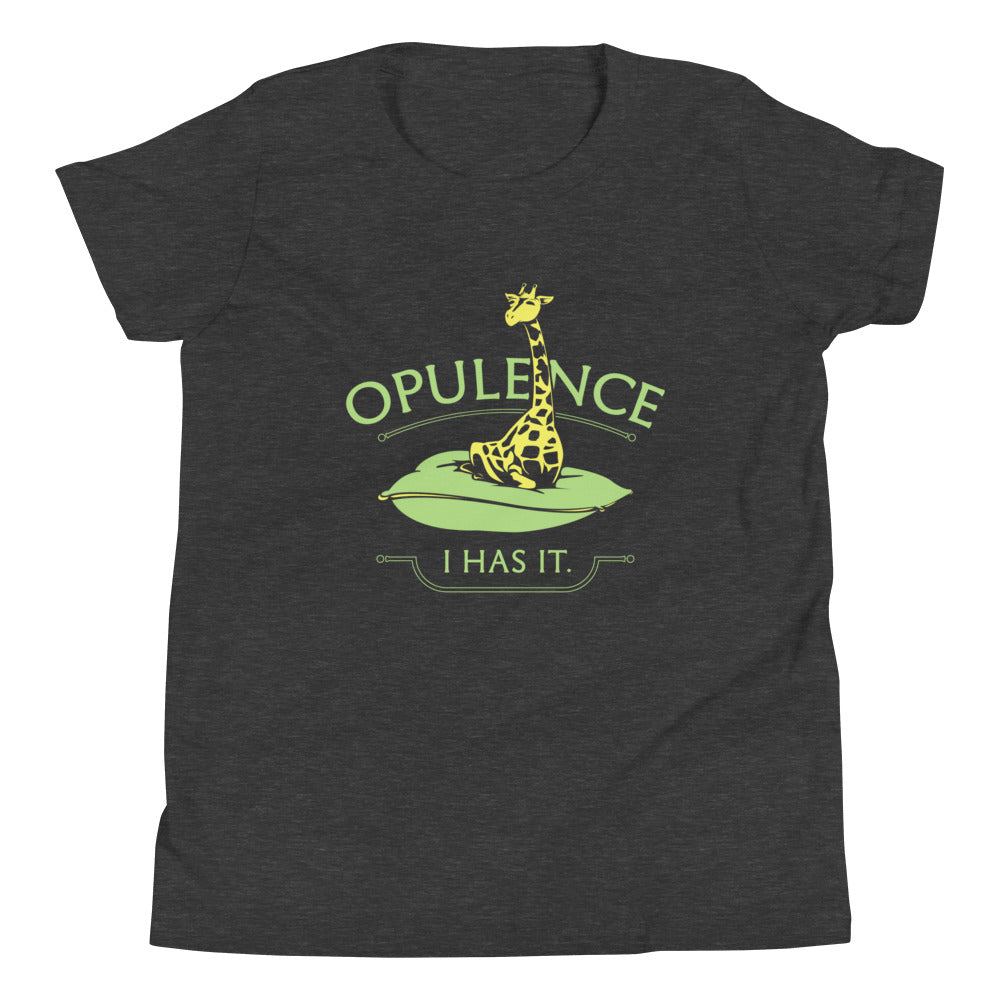 Opulence, I Has It. Kid's Youth Tee Hoodie, Sweatshirt | CoreVibeTees.com (Image 4)