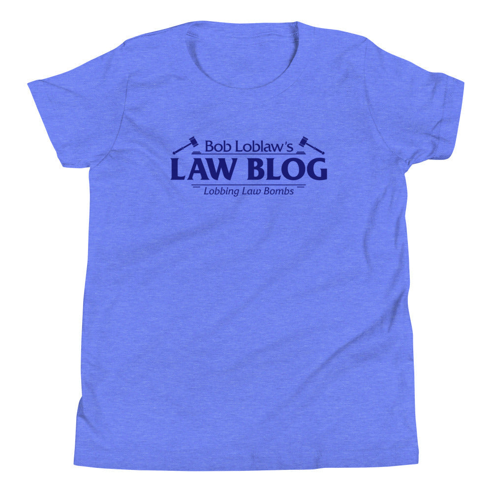 Bob Loblaw's Law Blog Kid's Youth Tee Hoodie, Sweatshirt | CoreVibeTees.com (Image 1)