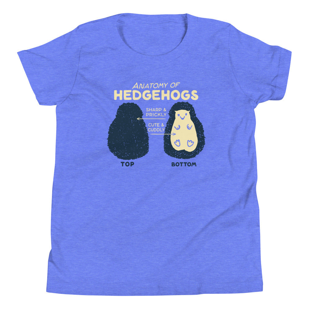 Anatomy Of Hedgehogs Kid's Youth Tee Hoodie, Sweatshirt | CoreVibeTees.com (Image 4)