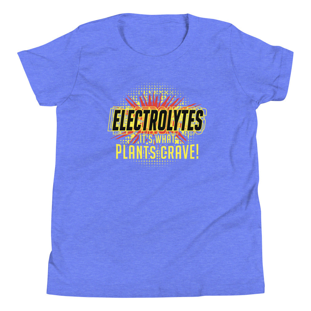 Electrolytes, It's What Plants Crave! Kid's Youth Tee Hoodie, Sweatshirt | CoreVibeTees.com (Image 2)