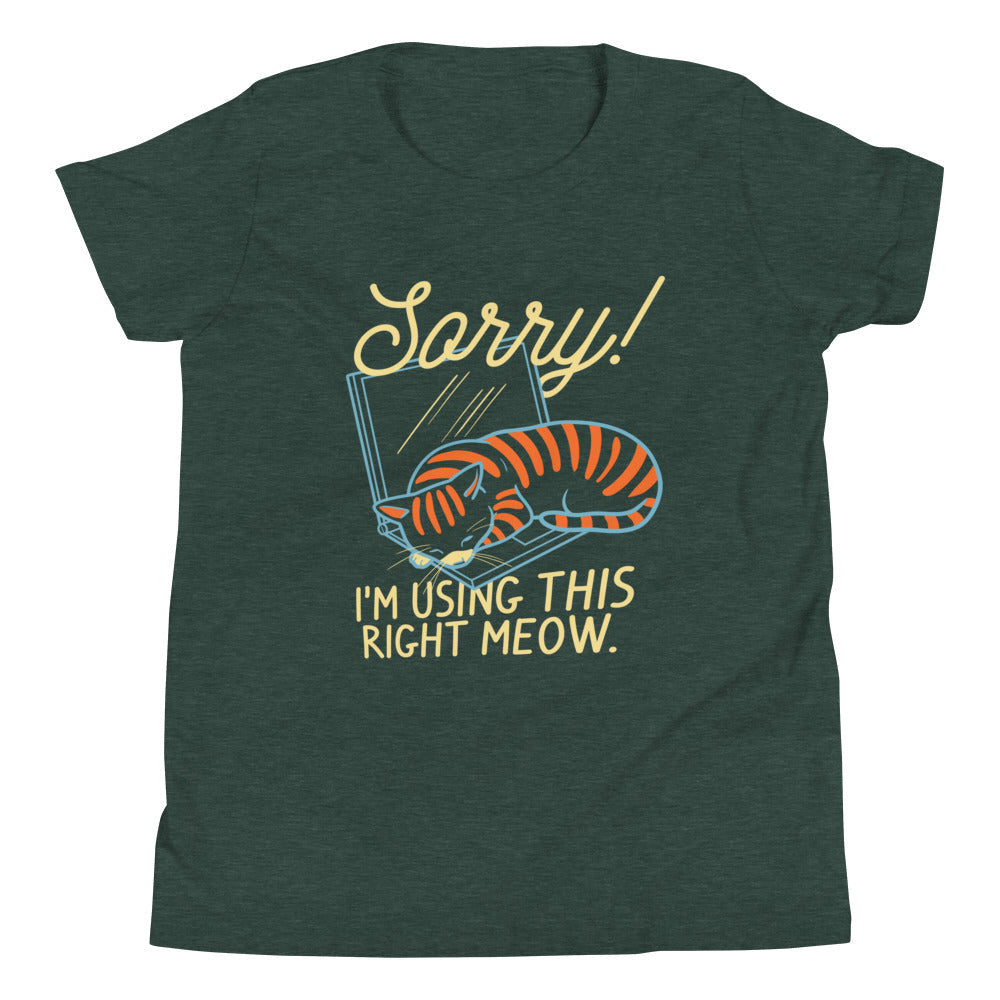 Sorry! I'm Using This Right Meow Kid's Youth Tee Hoodie, Sweatshirt | CoreVibeTees.com (Image 5)