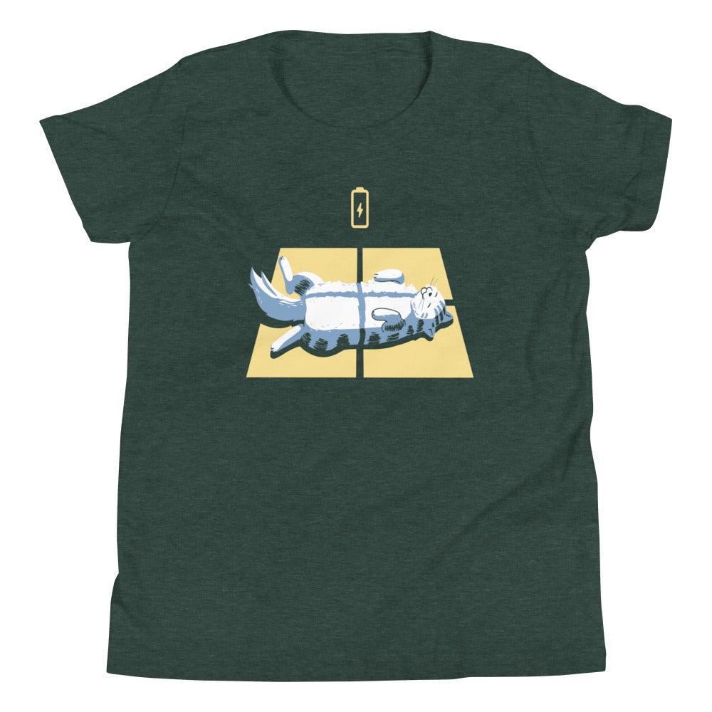 Solar Charging Kid's Youth Tee Hoodie, Sweatshirt | CoreVibeTees.com (Image 5)