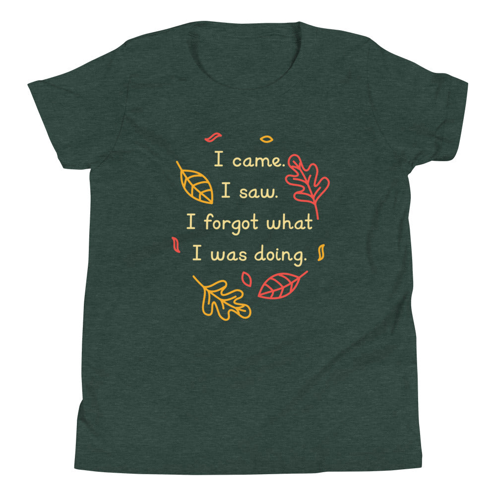 I Came. I Saw. I Forgot What I Was Doing. Kid's Youth Tee Hoodie, Sweatshirt | CoreVibeTees.com (Image 4)