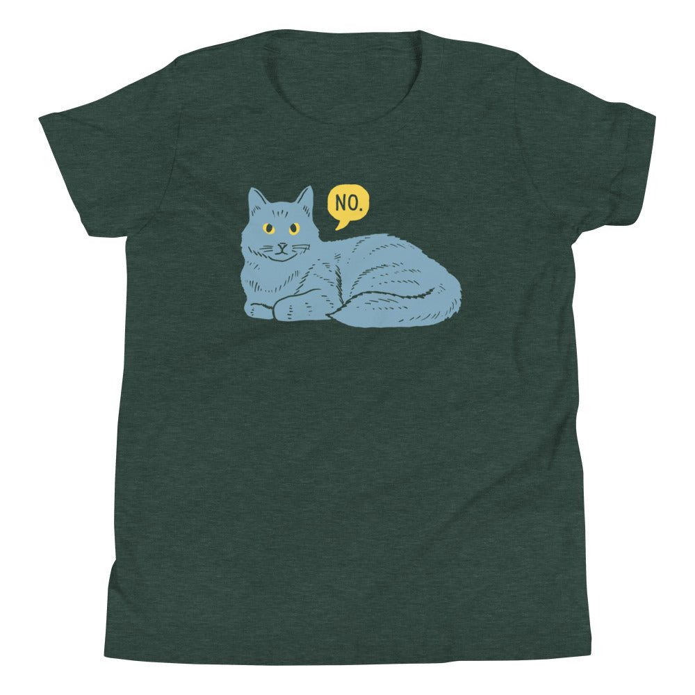 No Cat Kid's Youth Tee Hoodie, Sweatshirt | CoreVibeTees.com (Image 4)