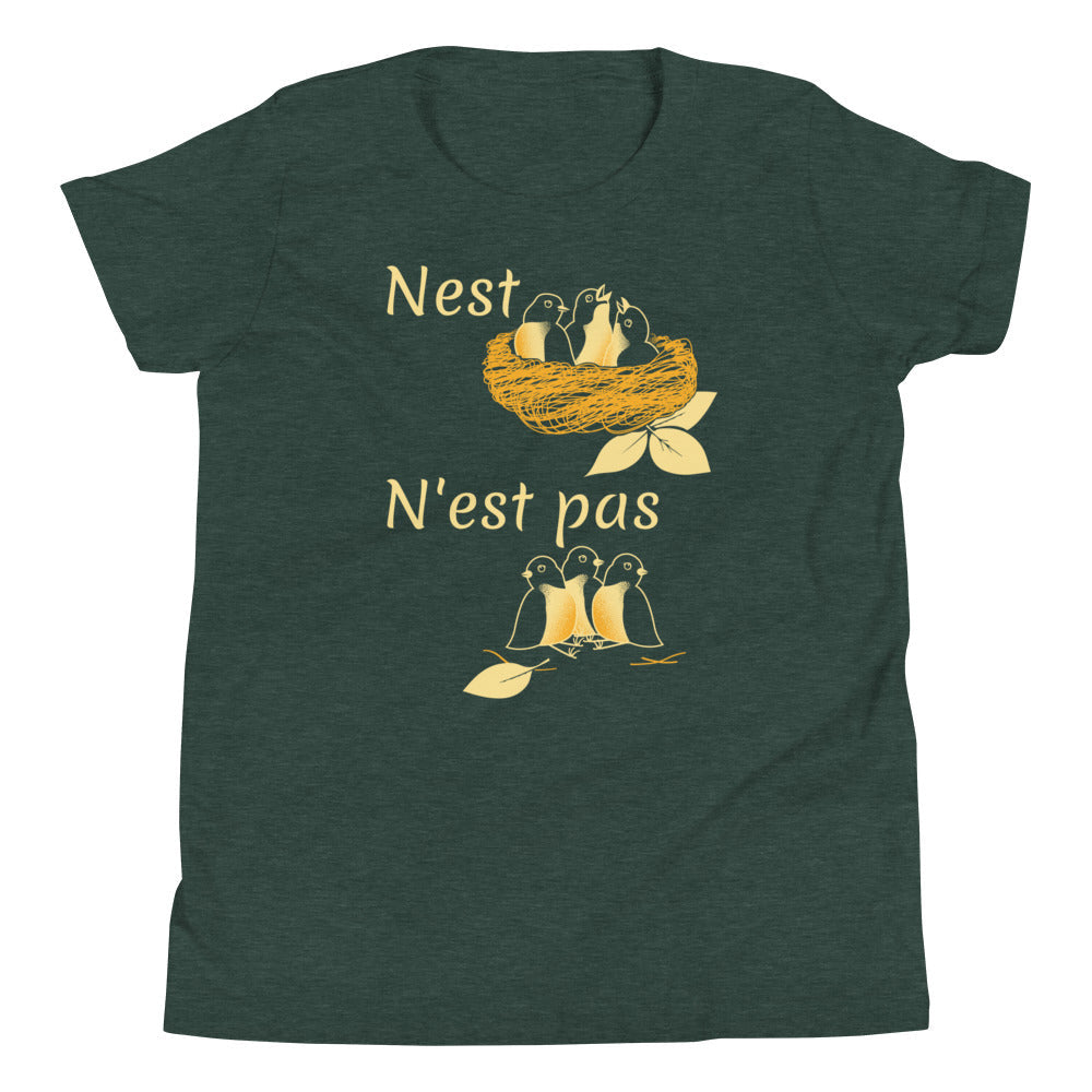 Nest N'est Pas Kid's Youth Tee Hoodie, Sweatshirt | CoreVibeTees.com (Image 5)
