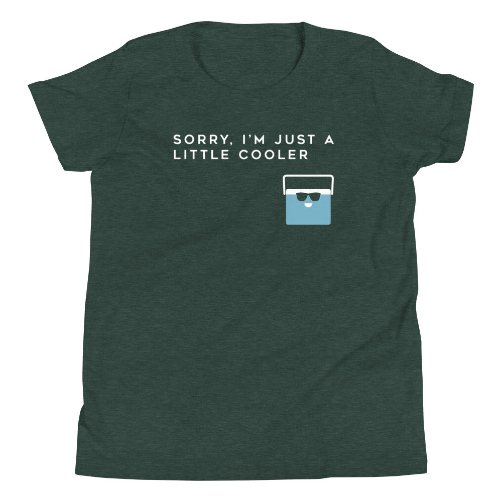 Sorry, I'm Just A Little Cooler Kid's Youth Tee Hoodie, Sweatshirt | CoreVibeTees.com (Image 4)