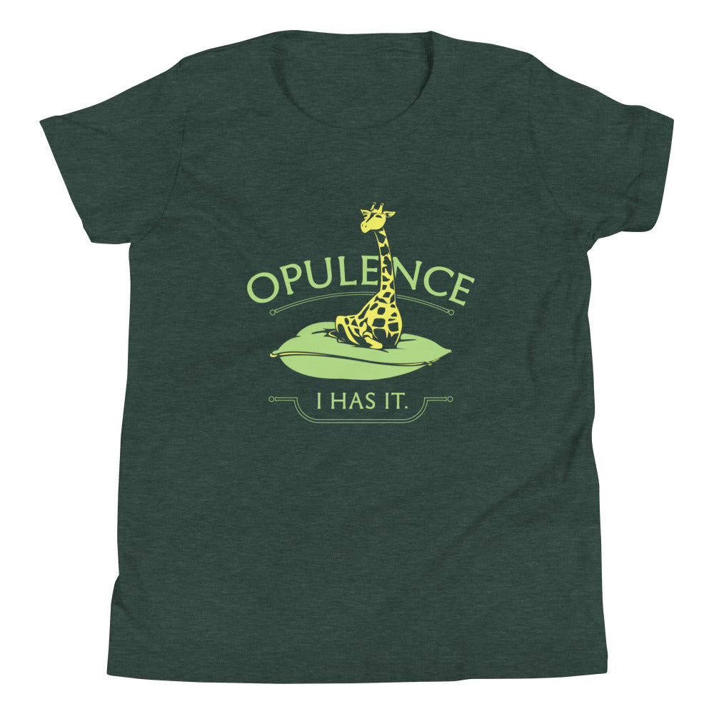 Opulence, I Has It. Kid's Youth Tee Hoodie, Sweatshirt | CoreVibeTees.com (Image 5)