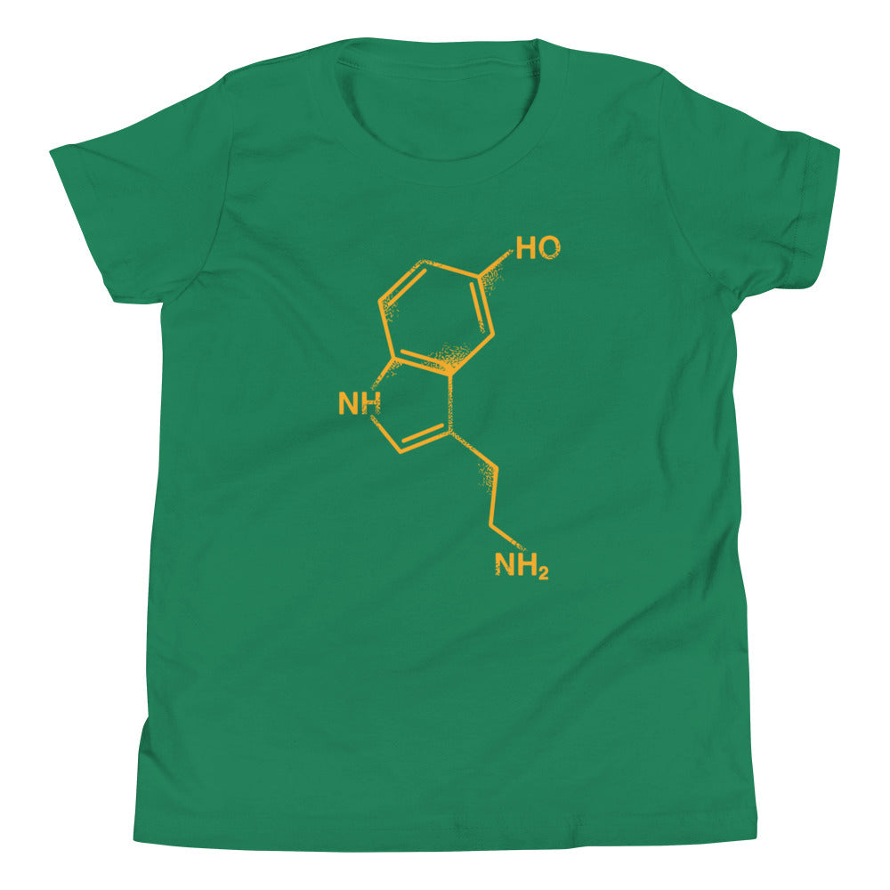 Serotonin Kid's Youth Tee Hoodie, Sweatshirt | CoreVibeTees.com (Image 5)