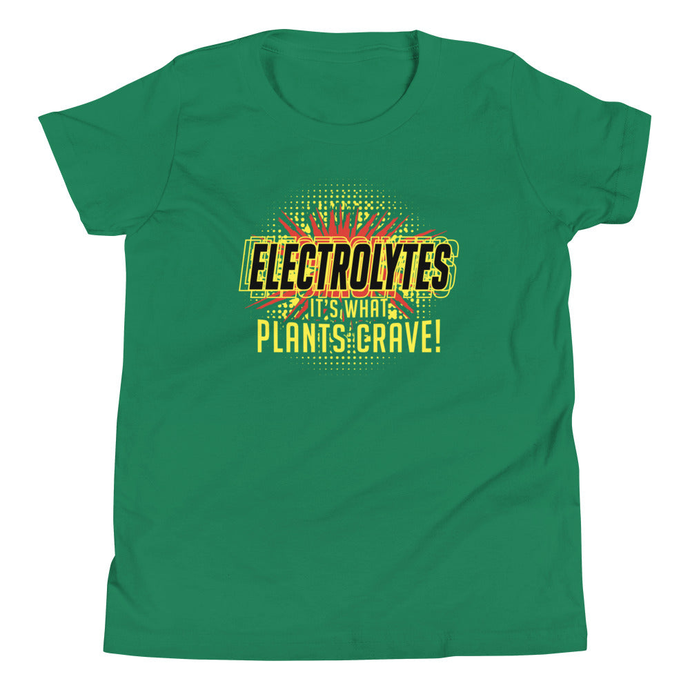 Electrolytes, It's What Plants Crave! Kid's Youth Tee Hoodie, Sweatshirt | CoreVibeTees.com (Image 1)