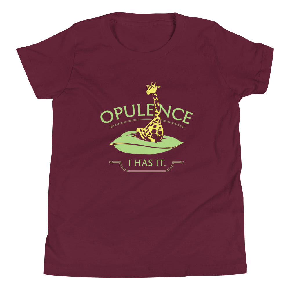 Opulence, I Has It. Kid's Youth Tee Hoodie, Sweatshirt | CoreVibeTees.com (Image 3)