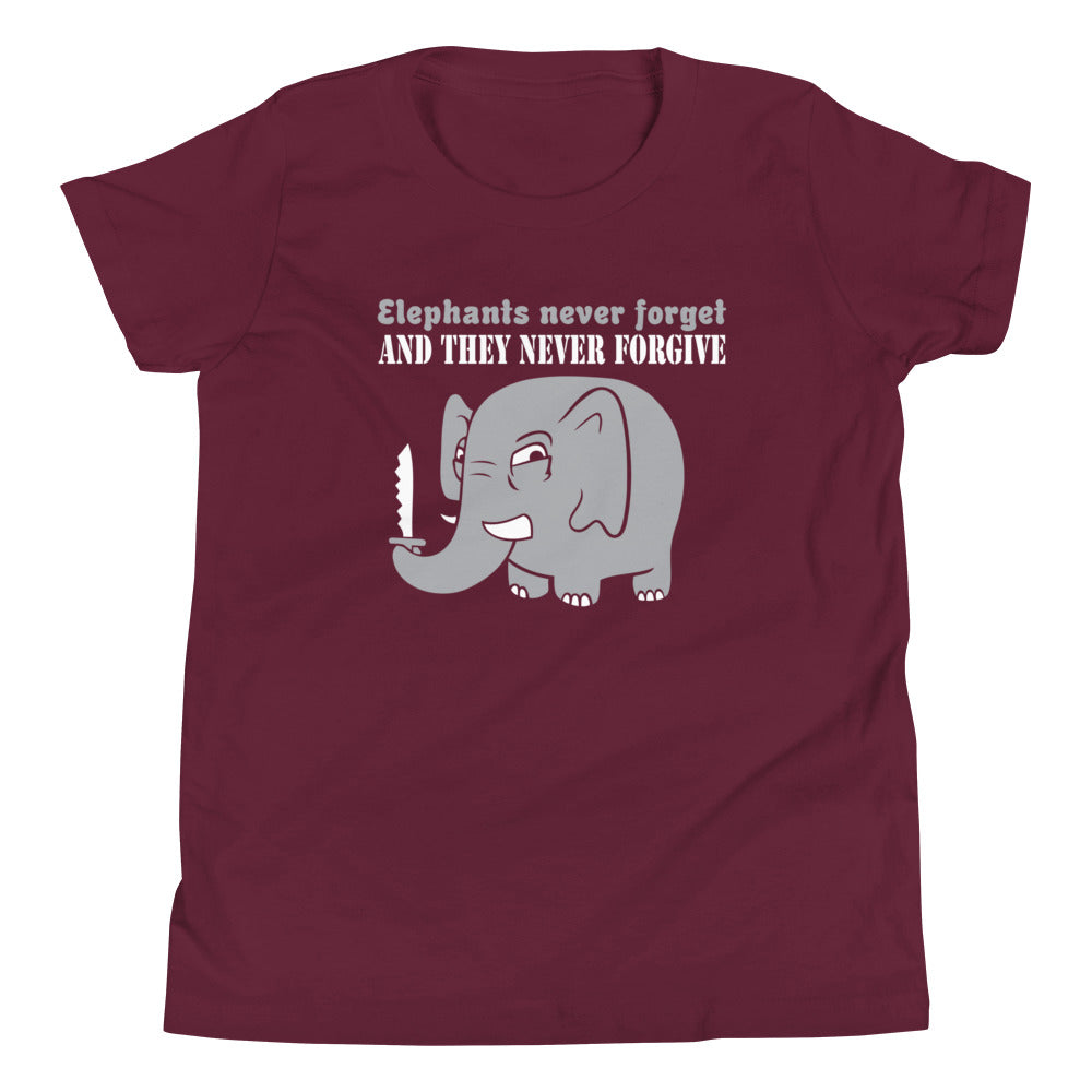 Elephants Never Forgive Kid's Youth Tee Hoodie, Sweatshirt | CoreVibeTees.com (Image 3)